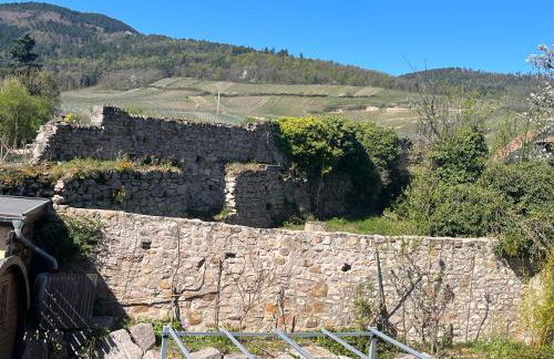 Beck Domaine du Rempart - Foto 36