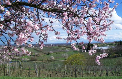 Loblocher Max und Moritz - Foto 10