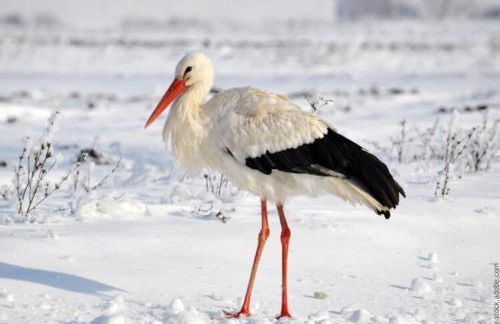 Gîte Spa La grange - Foto 25