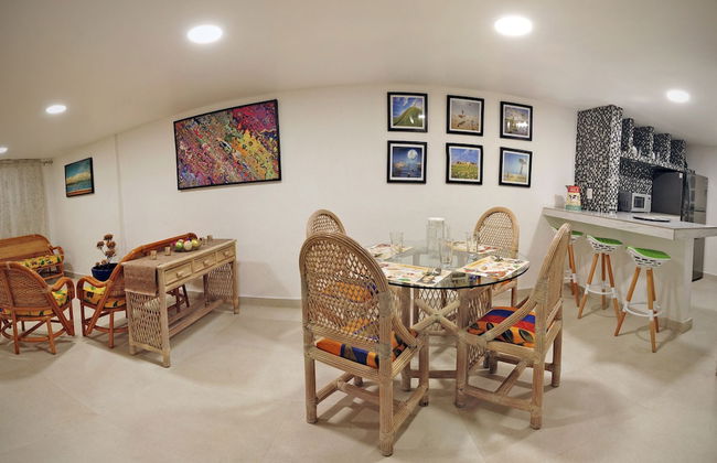 HominngBird - Foto 35