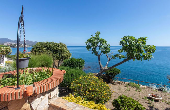 El Paraiso - Foto 22