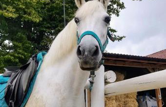 Ranczo Popowice - Foto 23