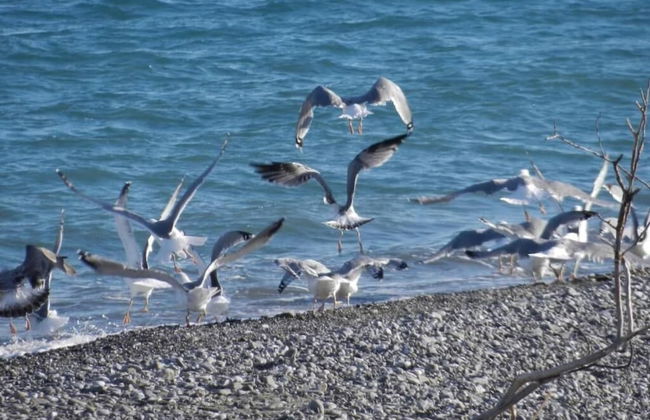 Casavacanze BioMele - Foto 28