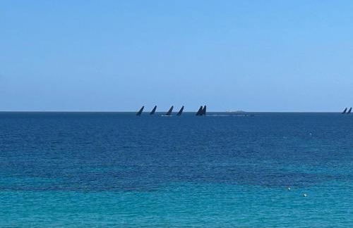 Steps from the Beach with views and big patio! - Photo 47