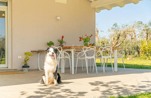 Casa RiVa - Among olive trees and the Tuscan coast - Photo 39