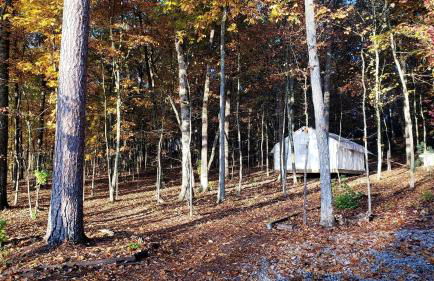 Radiant Forest Vacation Rental Haven Near Piney River, Tennessee - Foto 13