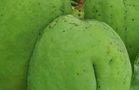 Lindo Sítio Estilo Moderno - Foto 73