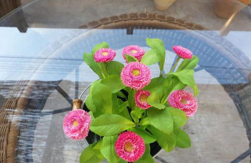 Villa Alicante Sunbeach - Foto 37