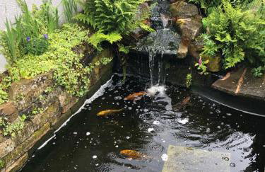 Rest & Recharge - Koi House - Foto 64