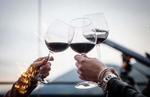 LaVistaDeiSogni Palmarette - Foto 22