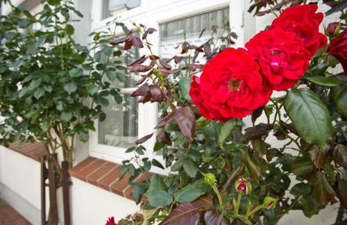 Ferienwohnungen Zum Goldenen Anker - Foto 28