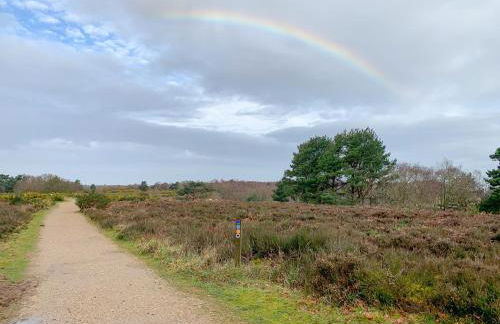 Robin's Retreat - Photo 29