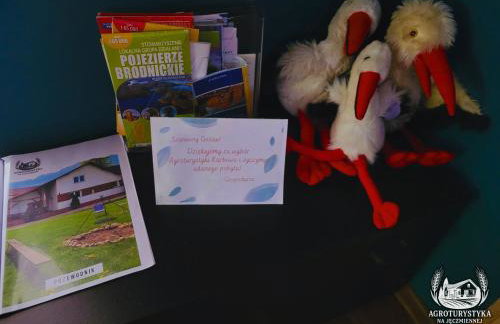 Agroturystyka na Jęczmiennej - całe mieszkanie, 2 tarasy - Foto 28