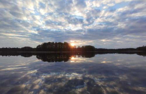 Butelkowa Zieleń - Foto 2