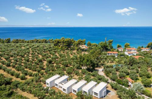 Olea Villas by halu!, Cozy villa in Nikiti - Photo 1