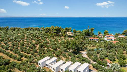 Olea Villas by halu!, Cozy villa in Nikiti - Foto 1