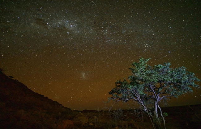 Solitaire Desert Farm - Foto 45