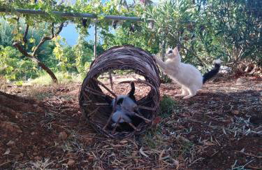 Aphrodite's Coast Retreat House! - Photo 54