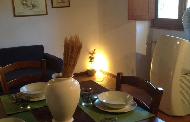 Vellutini Number One - Foto 18