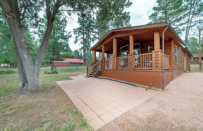 Old County Pine - Photo 25