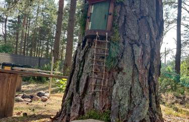 domki przy lipowej 16 - Foto 21