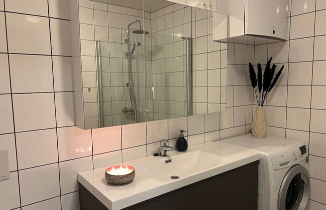 Arctic Aurora Suite in Center of Alta - Photo 1