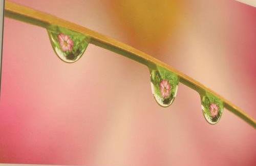 Maison tout inclus avec sauna à venir - Animaux acceptés - FR-1-497-258 - Foto 12