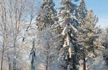 Bressingham Hall - Foto 63