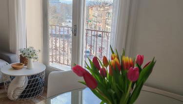 appartement perpignan - Foto 1