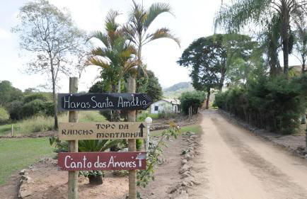 Haras Santa Amalia - Nova União MG - Foto 28