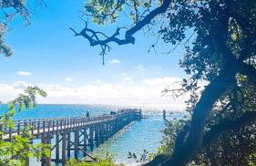 L'échappée nocturne Nature et Zen - Foto 15