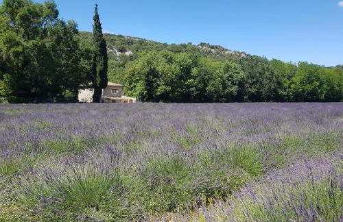 Moulin de charme - Photo 43