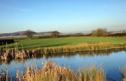 The Freight Wagon - Photo 17