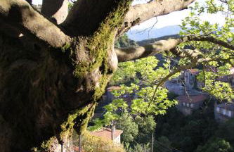 Lithero Suites - Photo 63