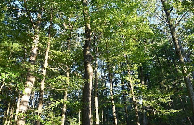 The Outlook - A Majestic View! - Foto 14