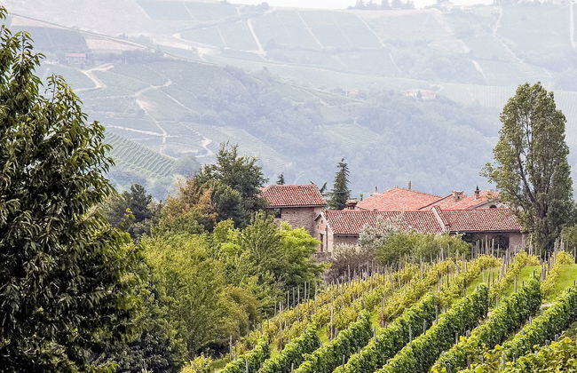 Borgo del Riondino - Photo 53