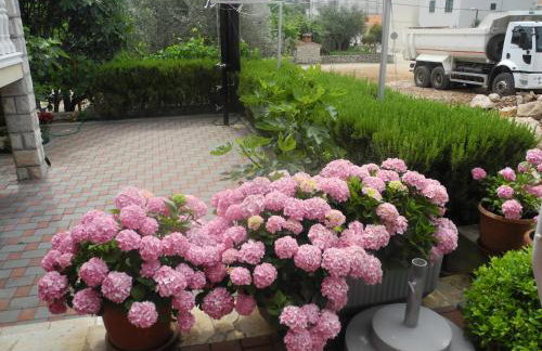 Apartments Martina - Foto 41