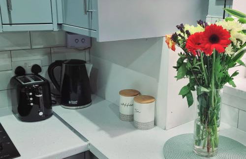 Stunning Lux 3 Bedroom home Priv Parking in Birmingham - Photo 10