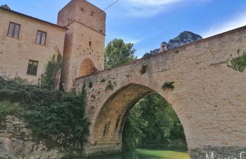 Oasi delle Gazze - Foto 33