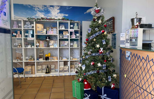 Visita a una fabbrica di acciughe con degustazione - Foto 10