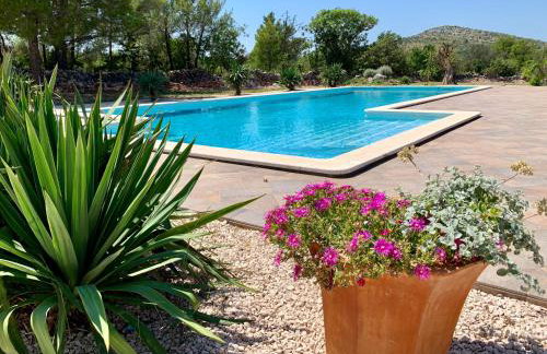 Villa Tovarovica - Foto 68