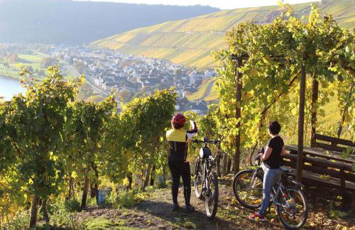 Ferienhaus Willwert - Photo 24