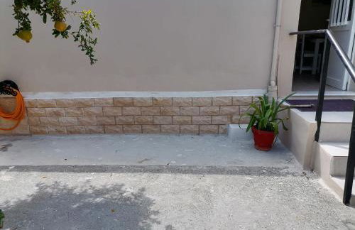 Lemon Tree House - Photo 27