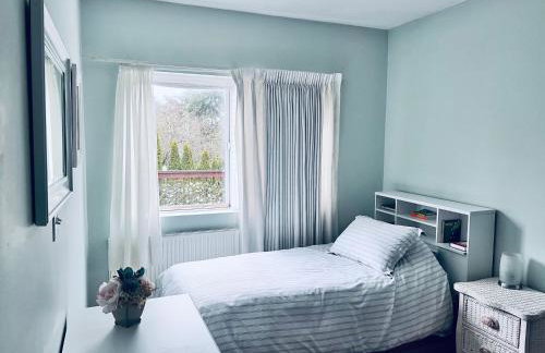 MountForest - Foto 22