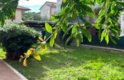 Il sogno di Potentia - Foto 49