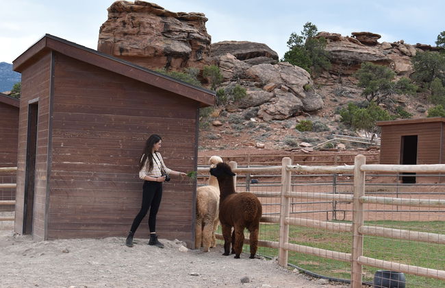 Cougar Ridge Resort - Foto 47