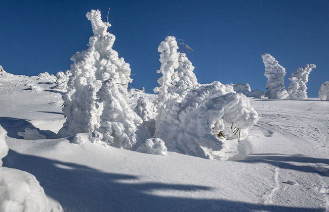 Hittenpichl "st. Christoph" - Foto 15