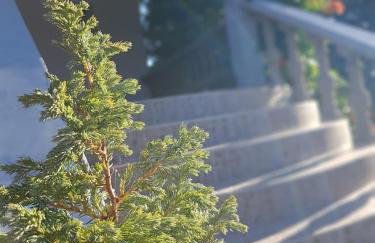 Maslina Apartment - Foto 5