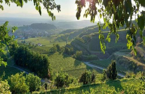 Holiday Apartment Monet in Oberrotweil - Foto 66