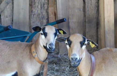 The Pool House - Foto 36